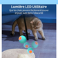 Jouet Interactif pour Chat et Chien