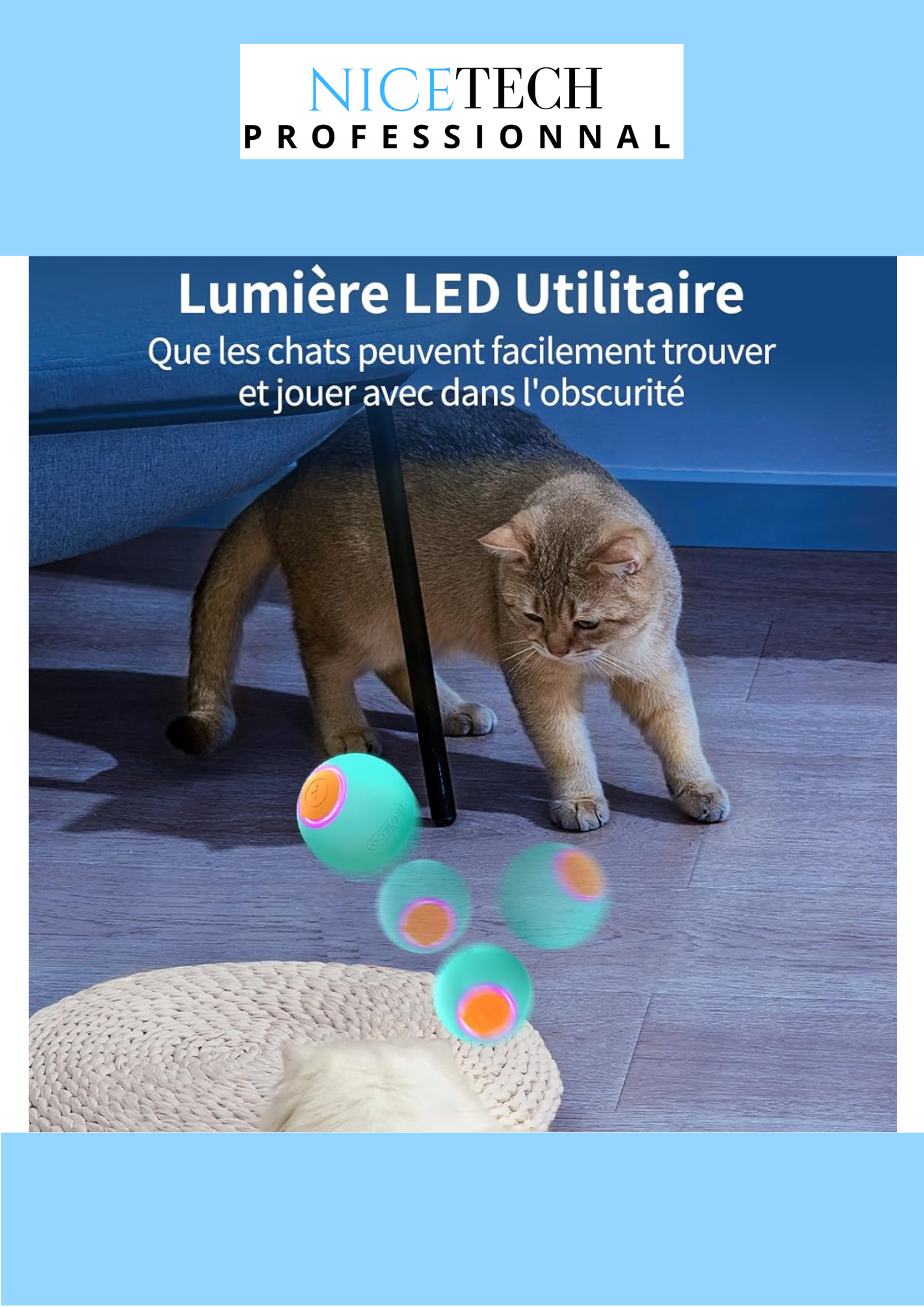 Jouet Interactif pour Chat et Chien