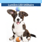 Jouet Interactif pour Chat et Chien